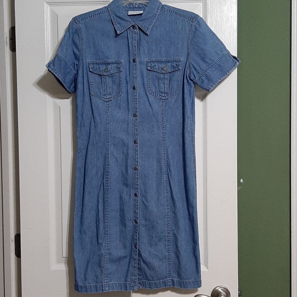 Lizwear Denim Dress